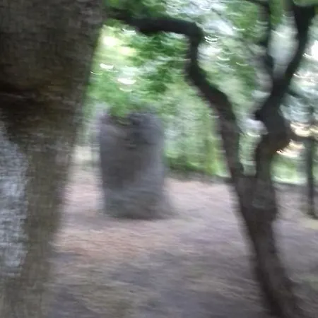 Alojamento de Turismo Rural Agriturist Sant'anna Castelplanio