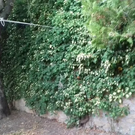 Agriturist Sant'anna