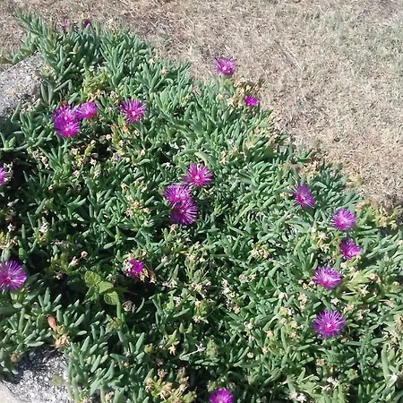 Agriturist Sant'anna * Castelplanio