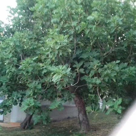 Agriturist Sant'anna Κατάλυμα σε φάρμα *